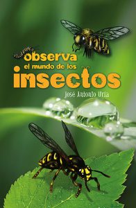 Observa el mundo de los insectos