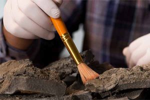 Excavando: hallazgos arqueológicos que hablan