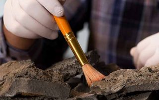Excavando: hallazgos arqueológicos que hablan
